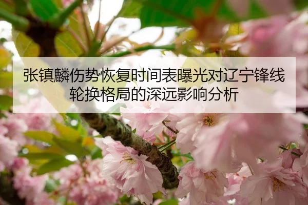 张镇麟伤势恢复时间表曝光对辽宁锋线轮换格局的深远影响分析