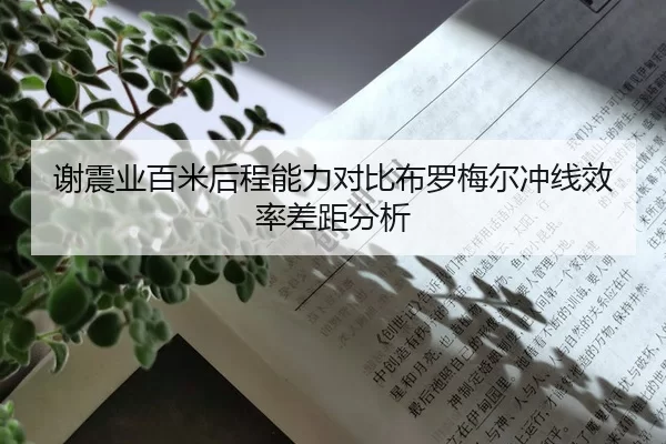 谢震业百米后程能力对比布罗梅尔冲线效率差距分析