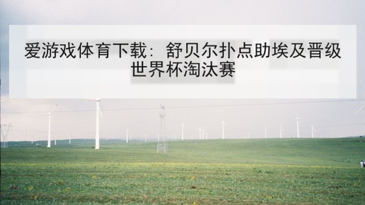 爱游戏体育下载: 舒贝尔扑点助埃及晋级世界杯淘汰赛