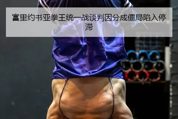 富里约书亚拳王统一战谈判因分成僵局陷入停滞